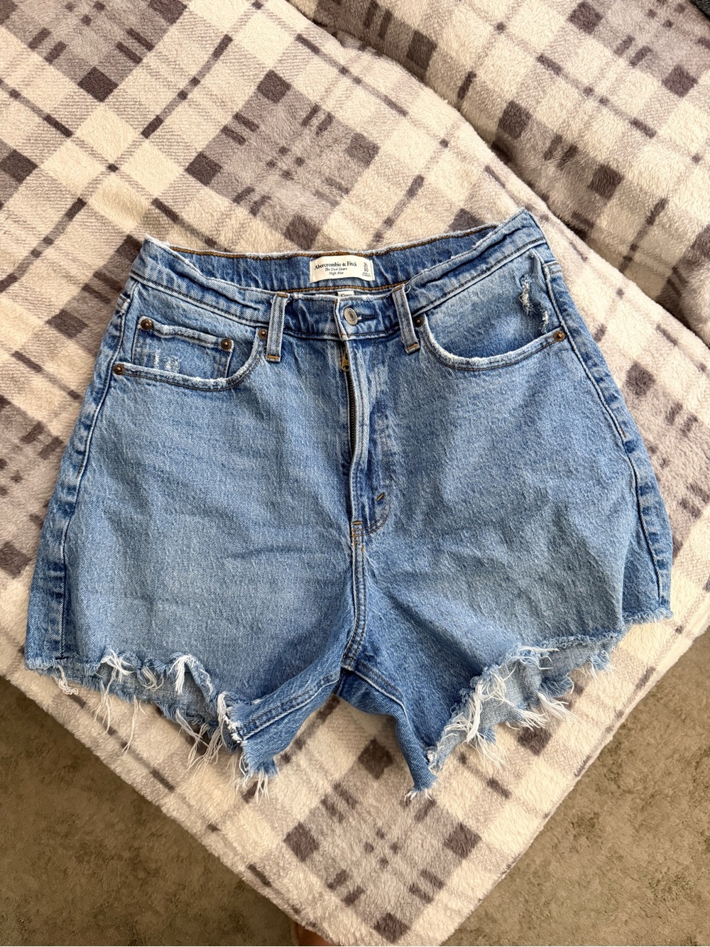 Abercrombie & Fitch Curve Love Shorts